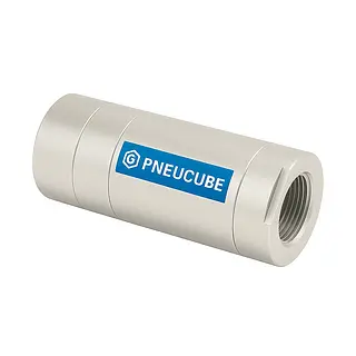 Check Neumático