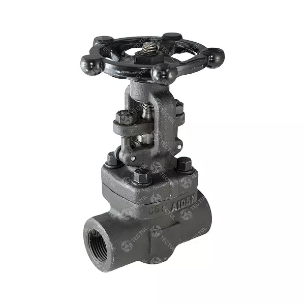 Válvula Compuerta Acero Al Carbón 800 Psi