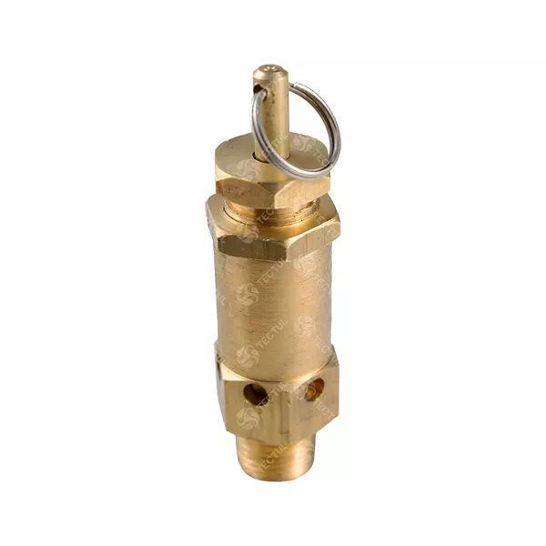 Válvula De Seguridad Para Aire Bronce Helman