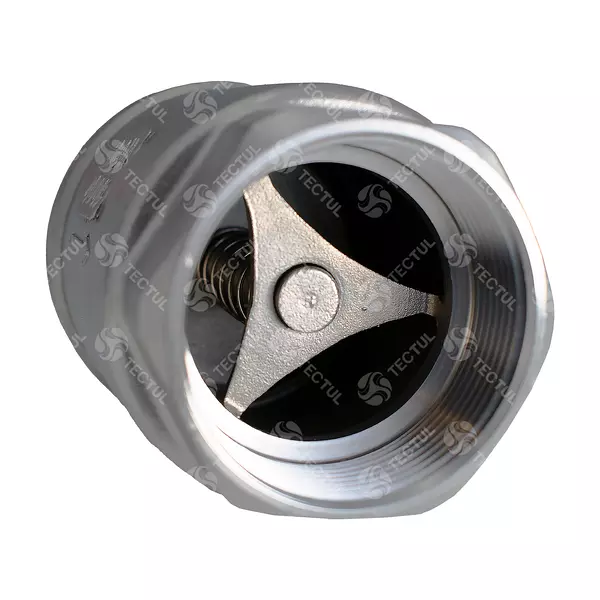 Check Vertical Inoxidable