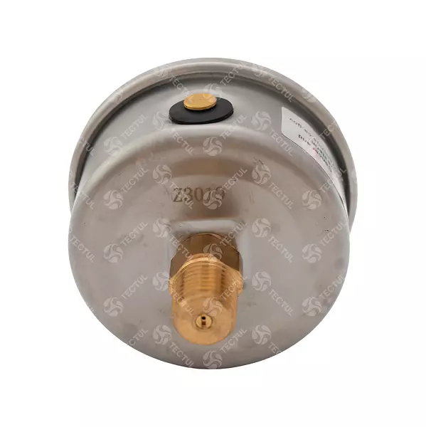 Manómetro Caja Acero Inoxidable 2.5", Conexión Trasera 1/4"
