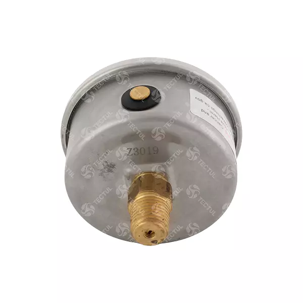 Manómetro Caja Acero Inoxidable 4", Conexión Trasera 1/2" Np