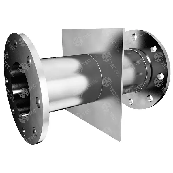Pasamuro Inoxidable Extremos Bridados