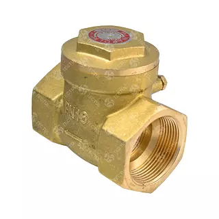 Check Compuerta Bronce